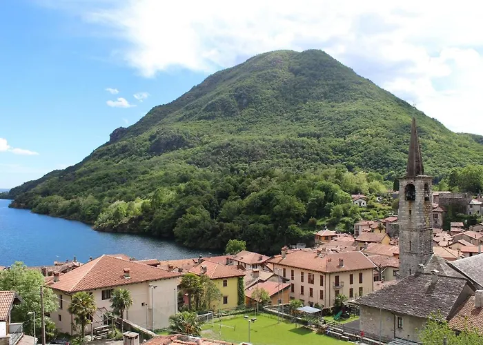 Oleandro 1 In Cerutti *